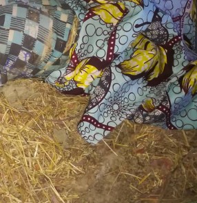 Missing 3-Year-Old Maryam Danlami Found Dead In Bauchi
