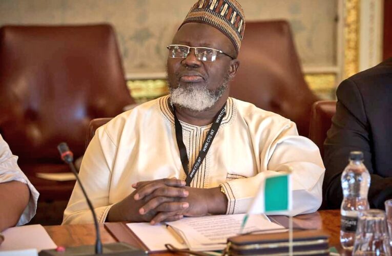 Give Bandits A Promising Future – Adebayo Shittu Tells FG