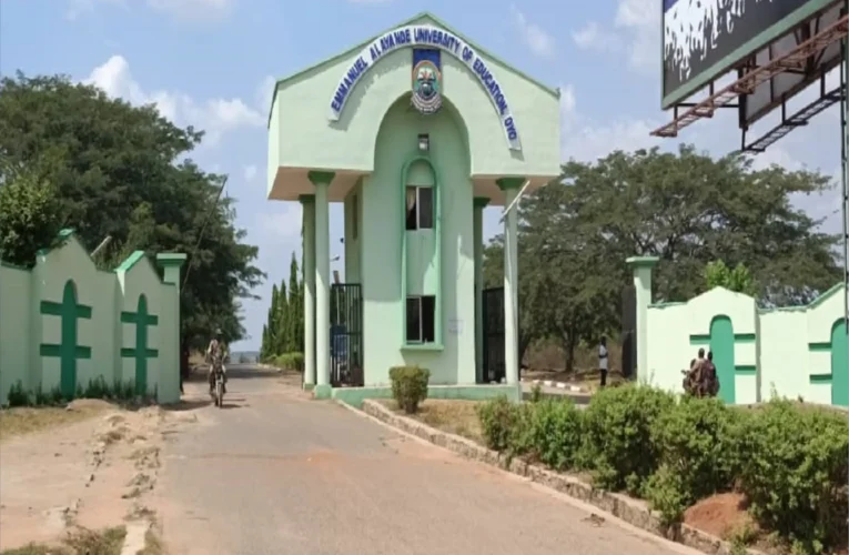 Don’t sabotage our zone, Ogbomoso group drags Emmanuel Alayande Varsity Governing Council, appeals to Gov. Makinde 