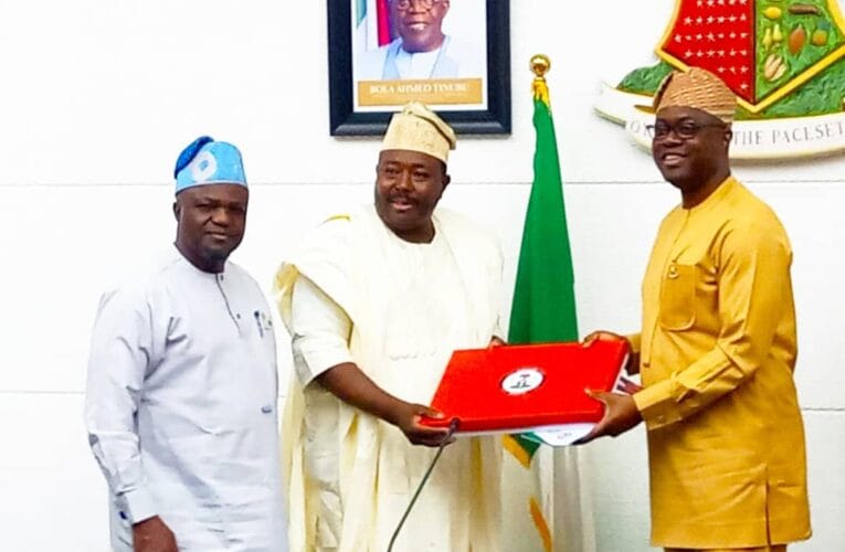 Let constitution amendments strengthen democracy, unite Nigeria, Makinde tells NASS Joint Committee 