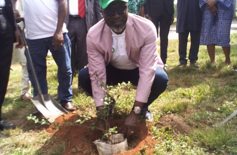 Preservation of Enviroment Is Sacroscant — Ogun HoS