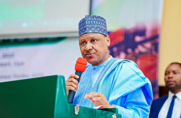 We Are Sustaining Electricity Subsidy For 85% Consumers – FG 