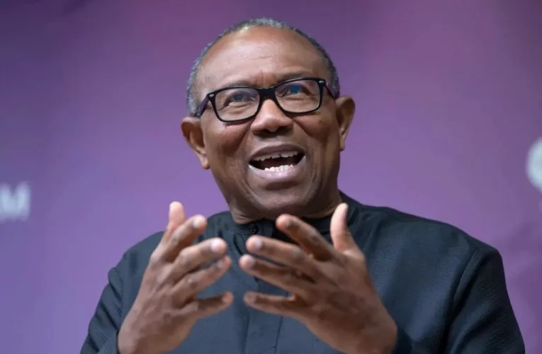 I’m Interested In Better Nigeria – Peter Obi Clears Air On Running With El-rufai