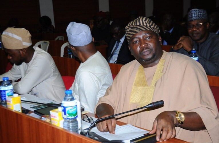 Accept Electricity Tariff Hike Or Face Total Blackout— Adebayo Adelabu 