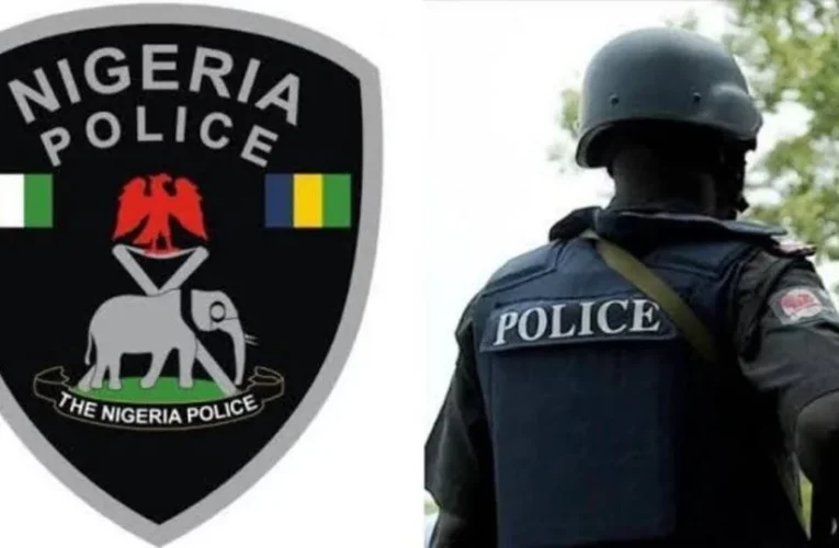 Batsari: 28 Girls Kidnapped In Katsina Rescued – Police