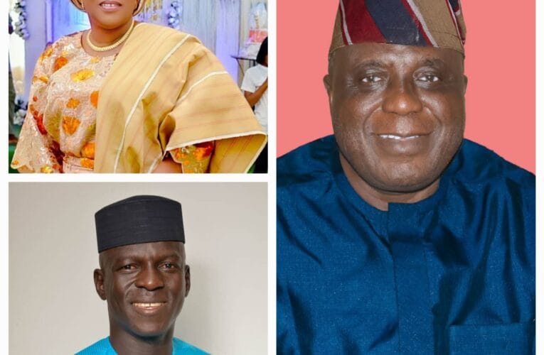 Your victory a reflection of PDP acceptability in Irepo LG— Yeye Adenike congratulates TT, Vice Chair-elect, Councillors 