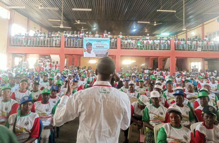Agboworin: The Man And His Constituents
