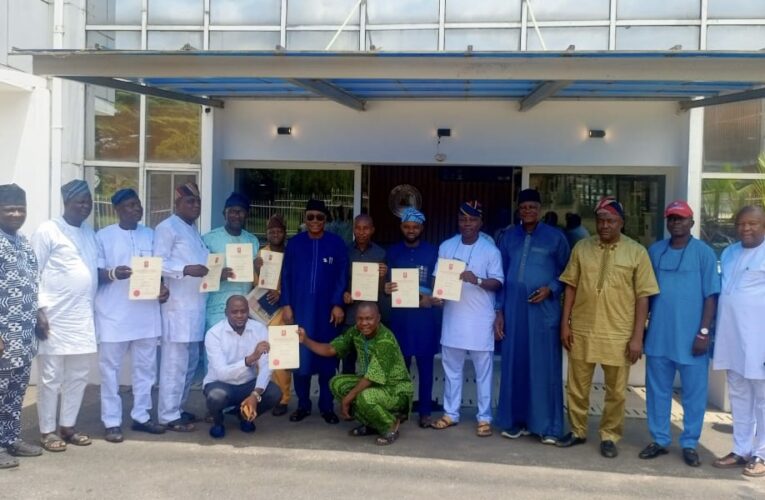 ‘It is one united government under Gov. Makinde’— Deputy Gov tells Oke-Ogun chairmen elect