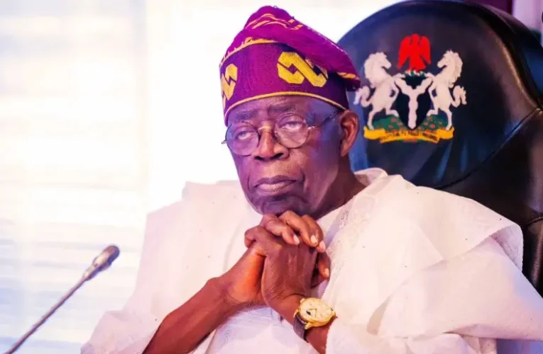 End Nigerians Suffering Now – 36 State Speakers Tell Tinubu