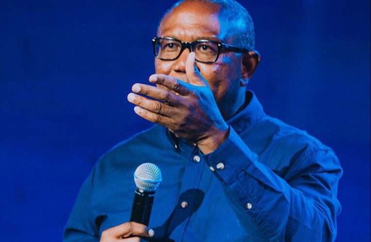 2027: I Will Consider PDP-LP Merger – Obi