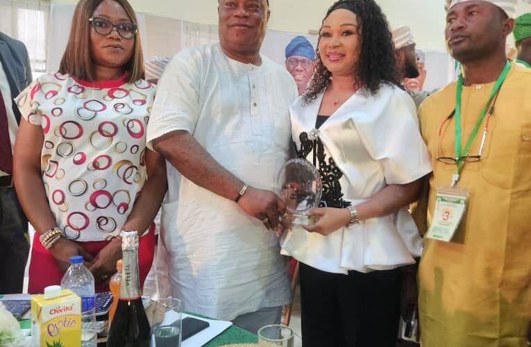 Ex-Reps Deputy Minority Whips, Adekoya Bags Progressives Awards From National Councillors Forum