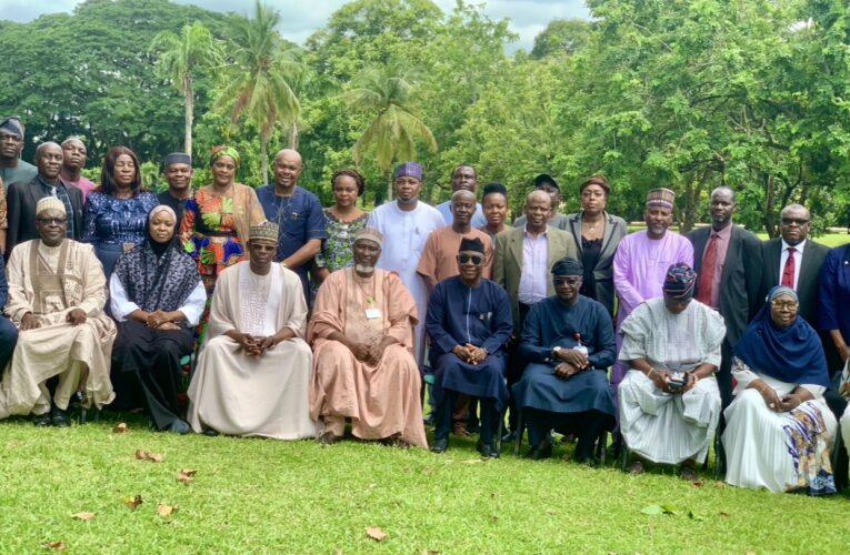 Makinde calls for proper funding of Nigeria police to perform optimally