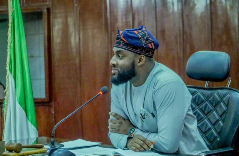 It’s Been 1yr of Steady Legislative Progress: Oyo Speaker, Ogundoyin