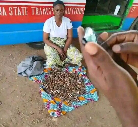 Woman Arrested While Delivering Firearms To Bandits In Katsina (Photos)