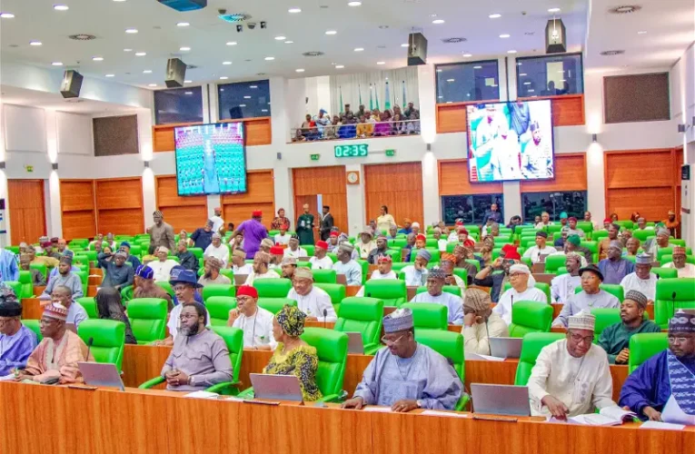Custom Officer Slumps, Dies During Probe Hearing By Reps Committee