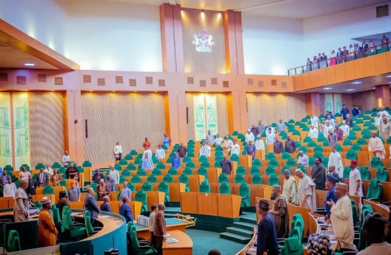 Rowdy Session in Reps over Tinubu’s request to extend 2023 budget, Supplementary Act
