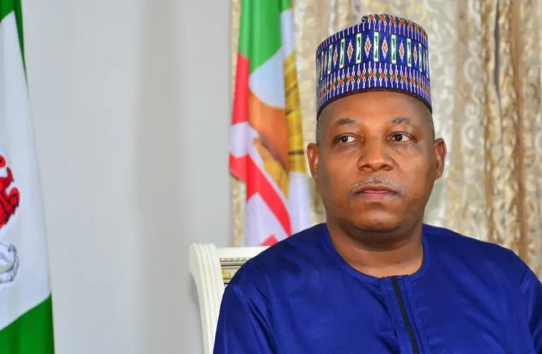 Tinubu’s Fall During June 12 Celebration Heartbreaking That…. – Shettima