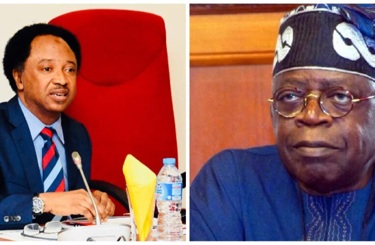 Shehu Sani: Insecurity Worse Under Buhari Than Tinubu 