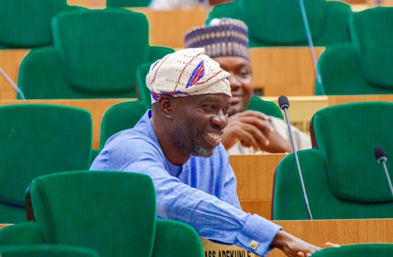 OPINION: Xraying Agboworin’s 5 Years In Office | By Mayowa Okekale 