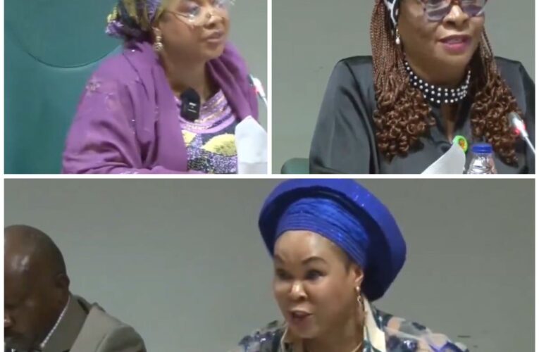 VIDEO: Reps Committee, Minister Of Women Affairs, Uju Kennedy In Heated Argument