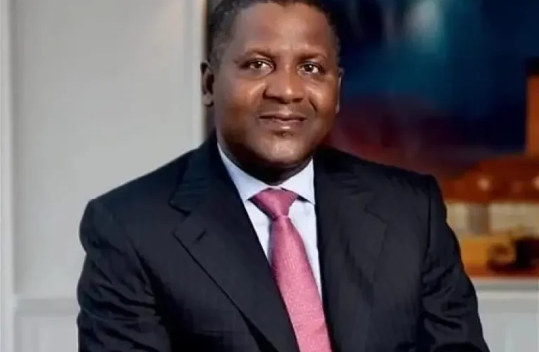 Dangote Calls On Reps To Probe Quality Of Petrol, Diesel At Filling Stations