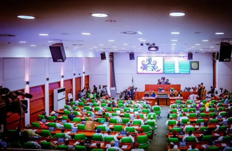 Suspend NMDPRA Boss Over Comment On Dangote Refinery – Reps Tell Tinubu