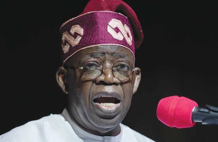 Protest: No Government Will Condone Destructive Tendencies — Tinubu 