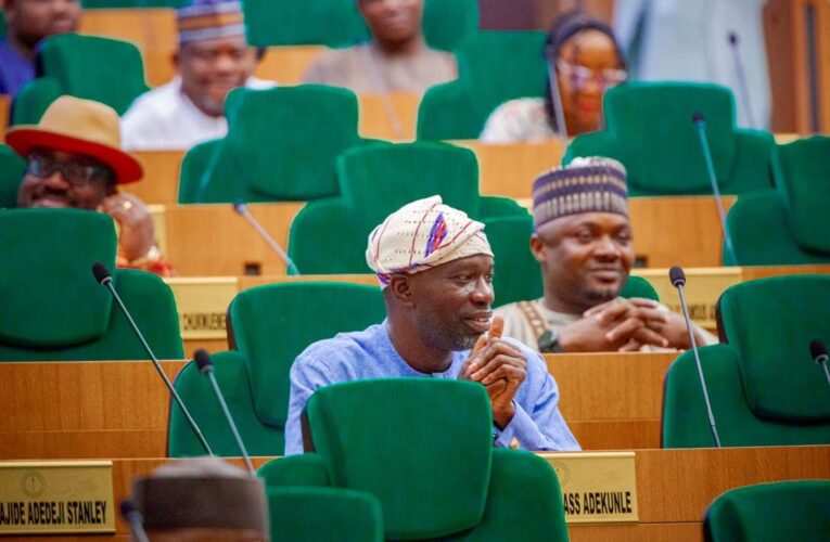 Two Things That Define Rep. Agboworin — By Abiola Agboola