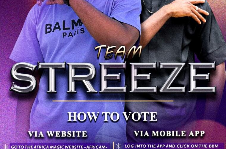 BBNAIJA Season 9: Team STREEZE solicits your VOTES