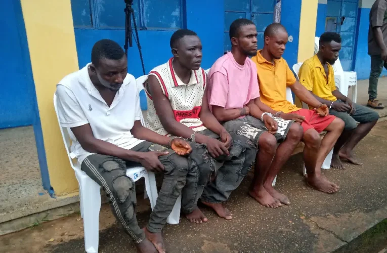 Police Arrest Kidnappers Who Killed Victim After Collecting N200,000 Ransom
