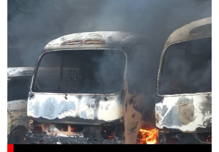 18 Suspects Arrested For Vandalism In Yobe During Hunger Protest