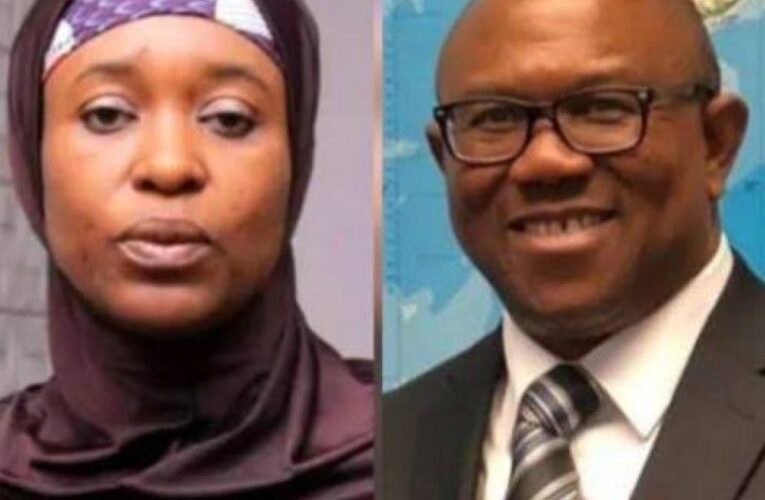 How Campaign Funds Were Controlled By Peter Obi, Aisha Yesufu, Pastor Ituah And We Followed Them Sheepishly – Labour Party Erstwhile Chairman, Julius Abure