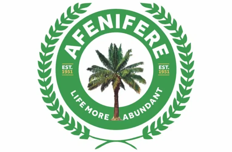 Tinubu’s Administration Sliding Into Fascism – Afenifere