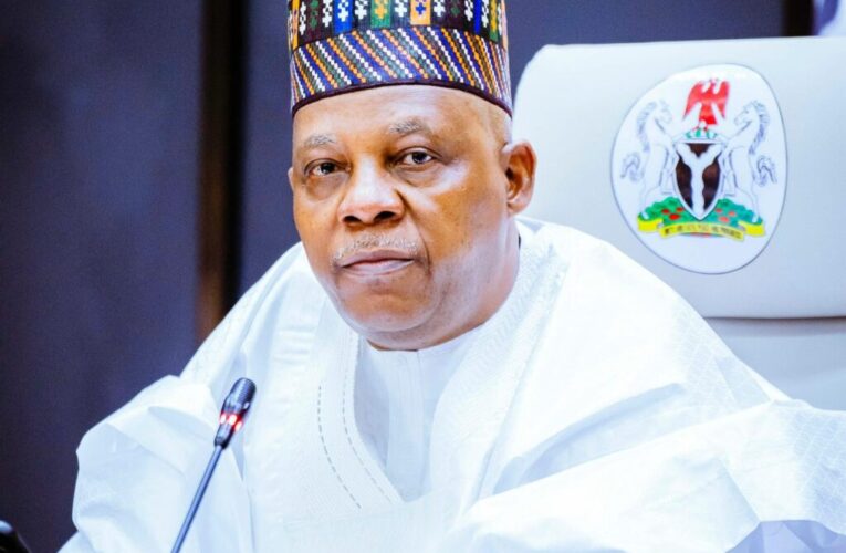 Change Is A Painful Process, Shettima Tells Nigerians 
