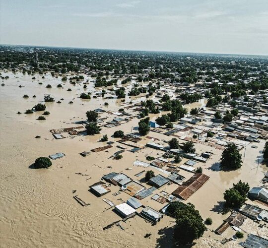 Dangote Donates ₦‎1.5 Billion To Borno Flood Victims