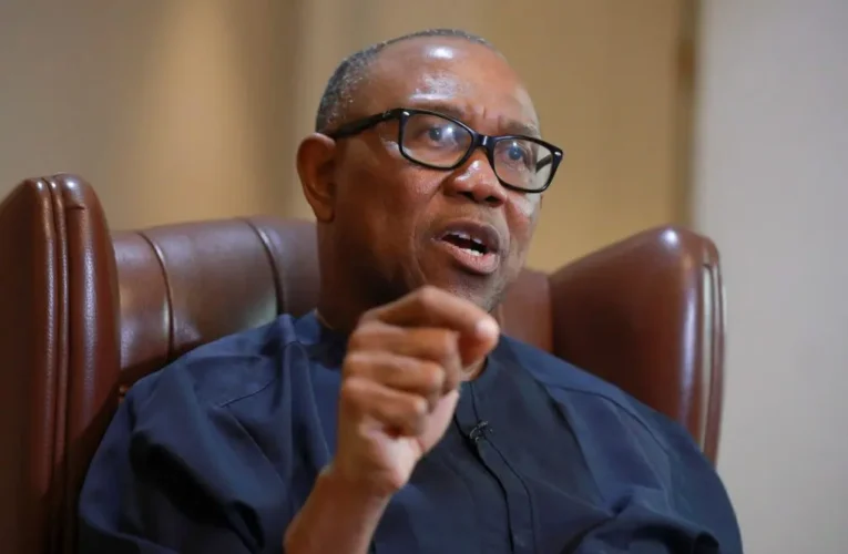 Edo Guber: Damage You Caused Will Haunt Your Children – Peter Obi Tells INEC 
