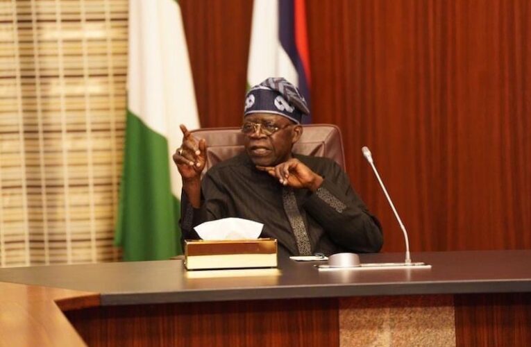 Tinubu makes fresh appointments 