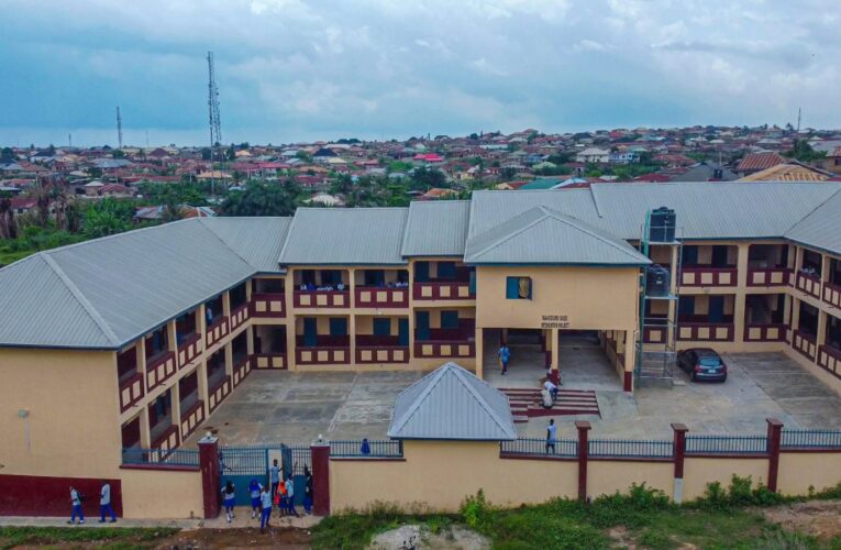 Behold an uninformed ‘die hard’ critic By Kola Ajibola