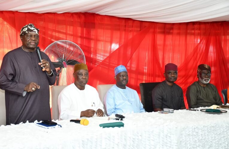 Implement Recommendations of Reconciliation Committee— Makinde Charges PDP NWC 