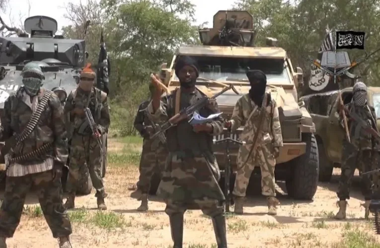 Repentant Boko Haram Fighters Escape With Govt Rifles, Motorcycles