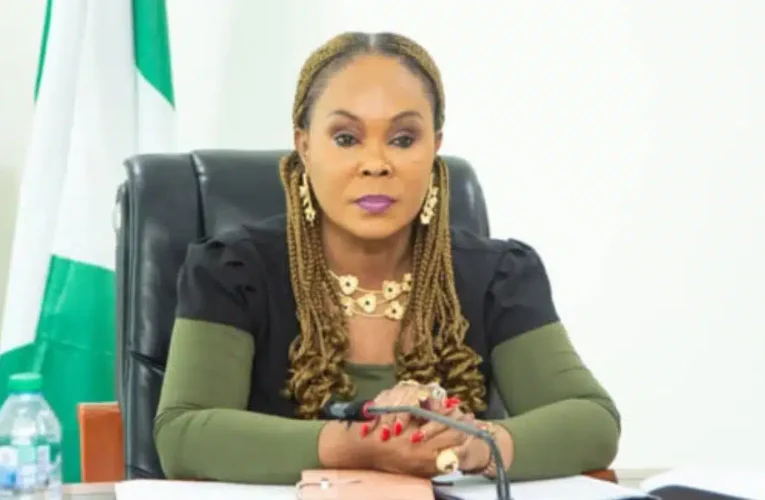 Before Tinubu Became President, Things Weren’t Good — Minister