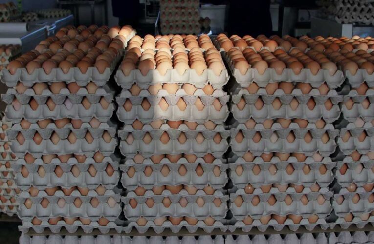 Price Of Eggs To Hit ₦‎10,000 Per Crate – Poultry Farmers