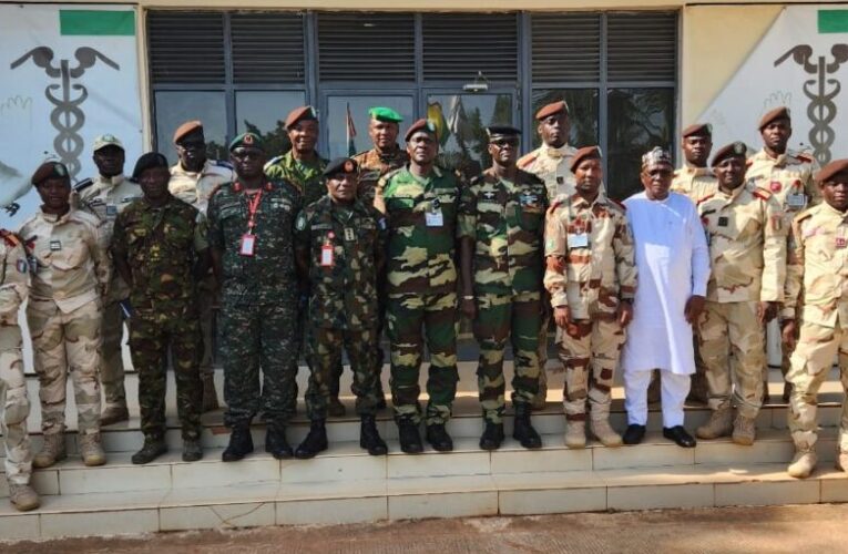 ECOWAS Monitors Guinea-Bissau Peace Mission