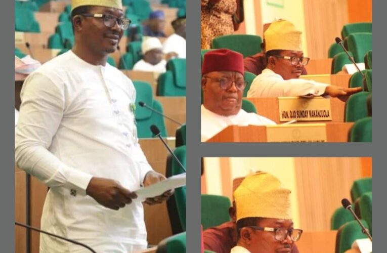 Oyo Rep, Smato urges Federal Gov’t intervention in funding of exploration for data in solid mineral space