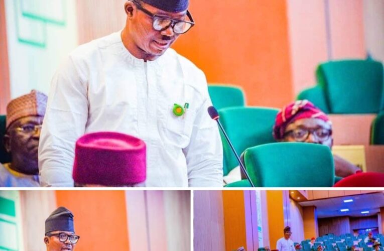 Rep. SMATO moves motion on urgent need to address dispute between Osun Gov’t and Segilola Gold Company