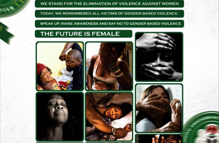 NAFC Oyo Chapter Advocates Against Gender Based Violence