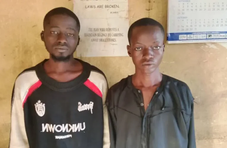 Two Suspected Phone Robbers Arrested