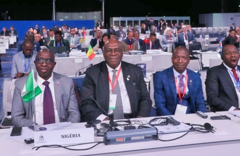 Police Affairs Minister, IGP, Udensi, Others In UK For INTERPOL General Assembly