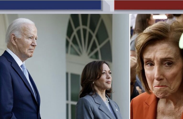 US: Pelosi, Harris & Biden’s Advisers In Blame Game Over Democrats Loss