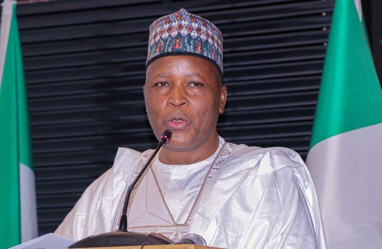 Tinubu: My removal politically motivated— Ex-Minister 